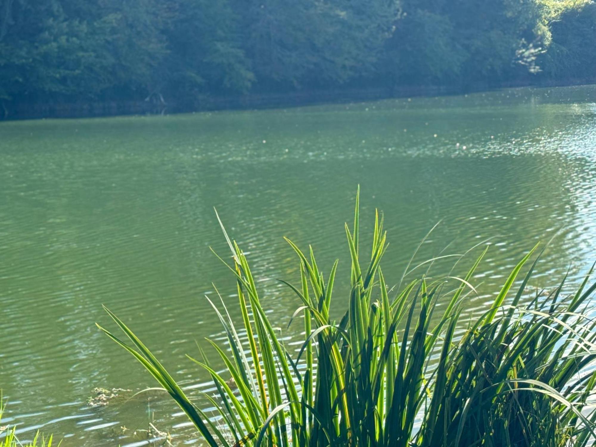 Lac De Lumiere. Relax With Rural Lakeside Living Herry Exterior photo